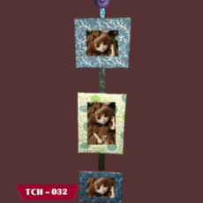 Single-Frame-TCH-032